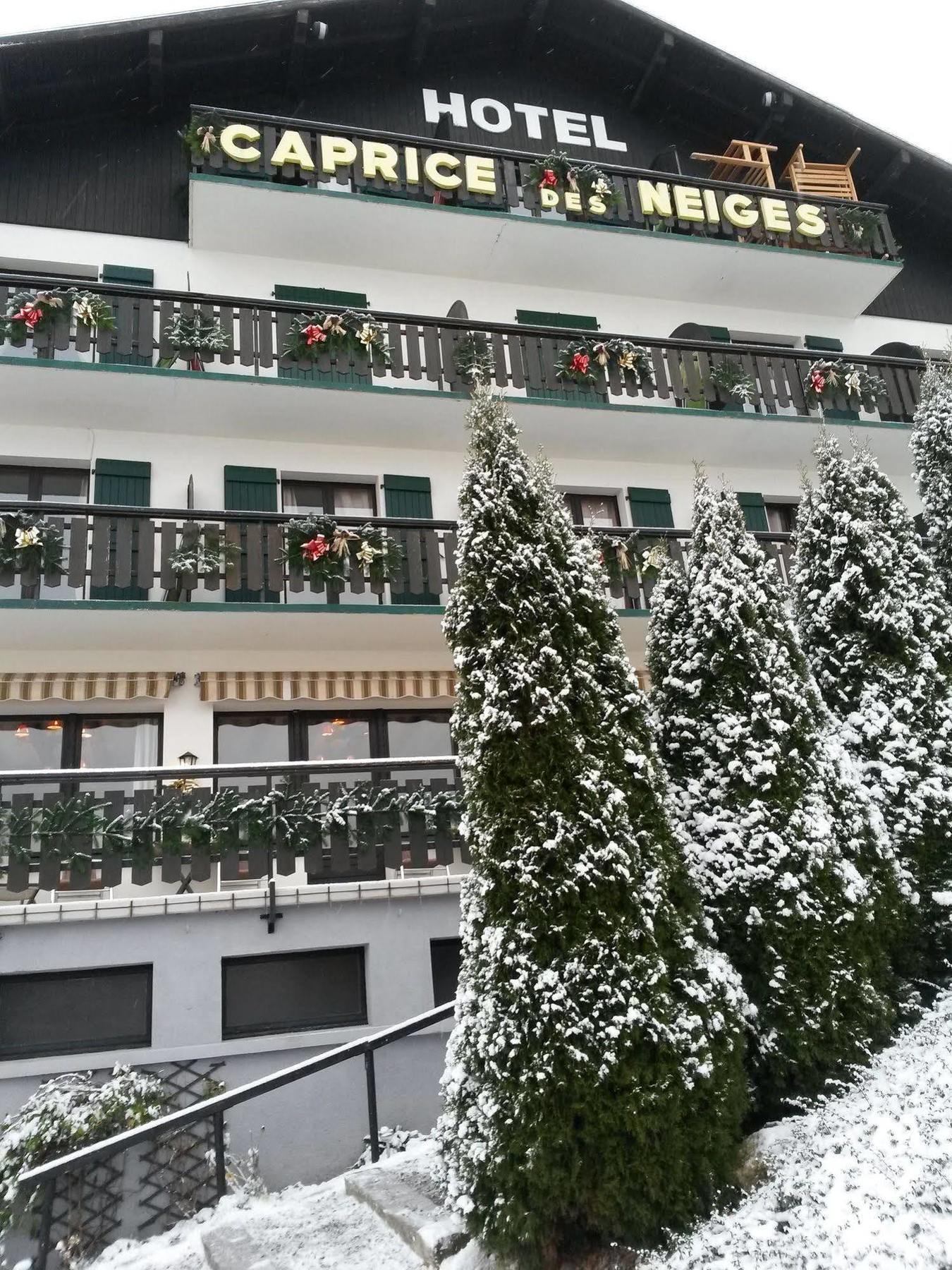 Hotel Le Caprice Des Neiges コンブルー エクステリア 写真