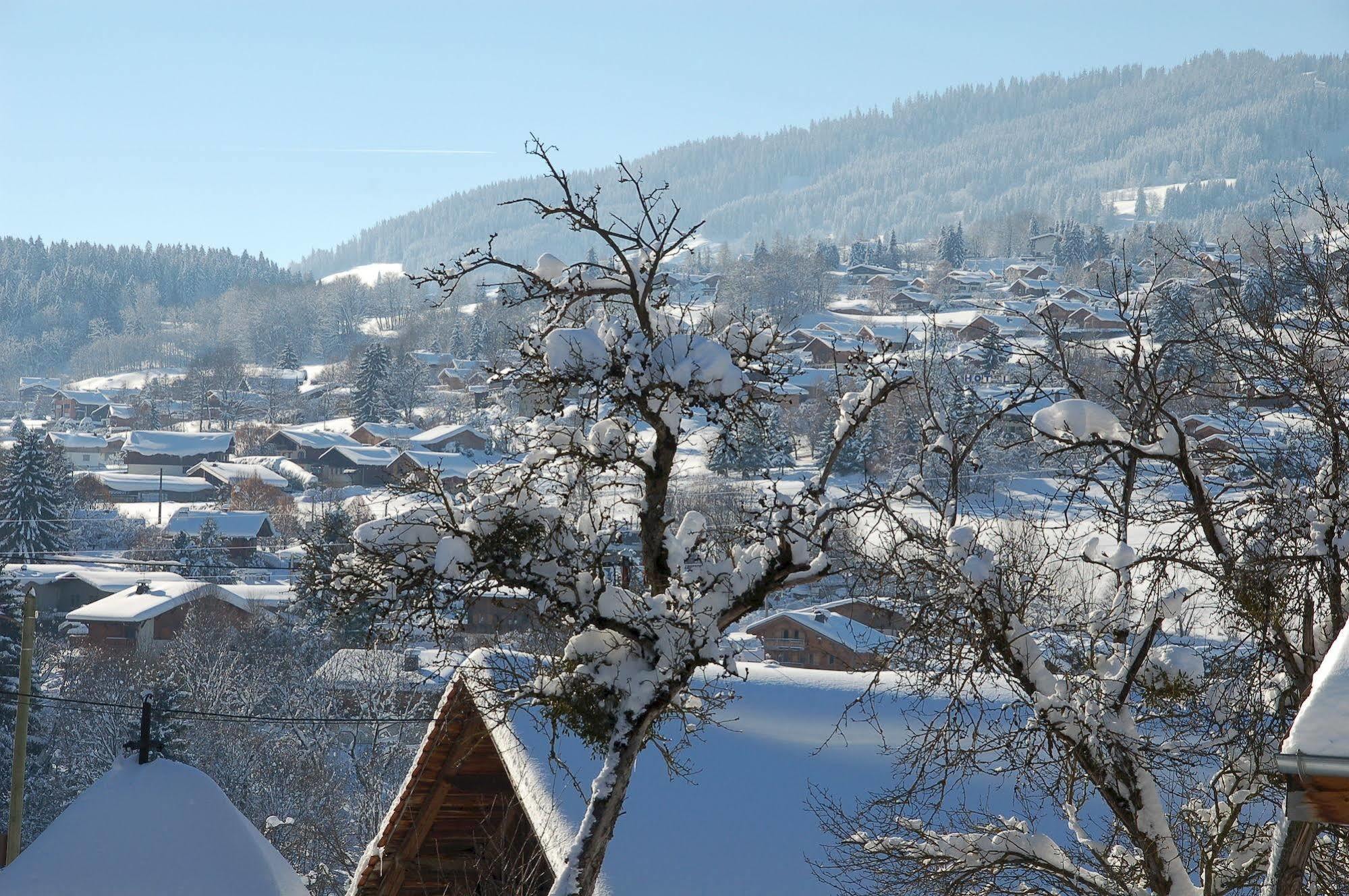 Hotel Le Caprice Des Neiges コンブルー エクステリア 写真