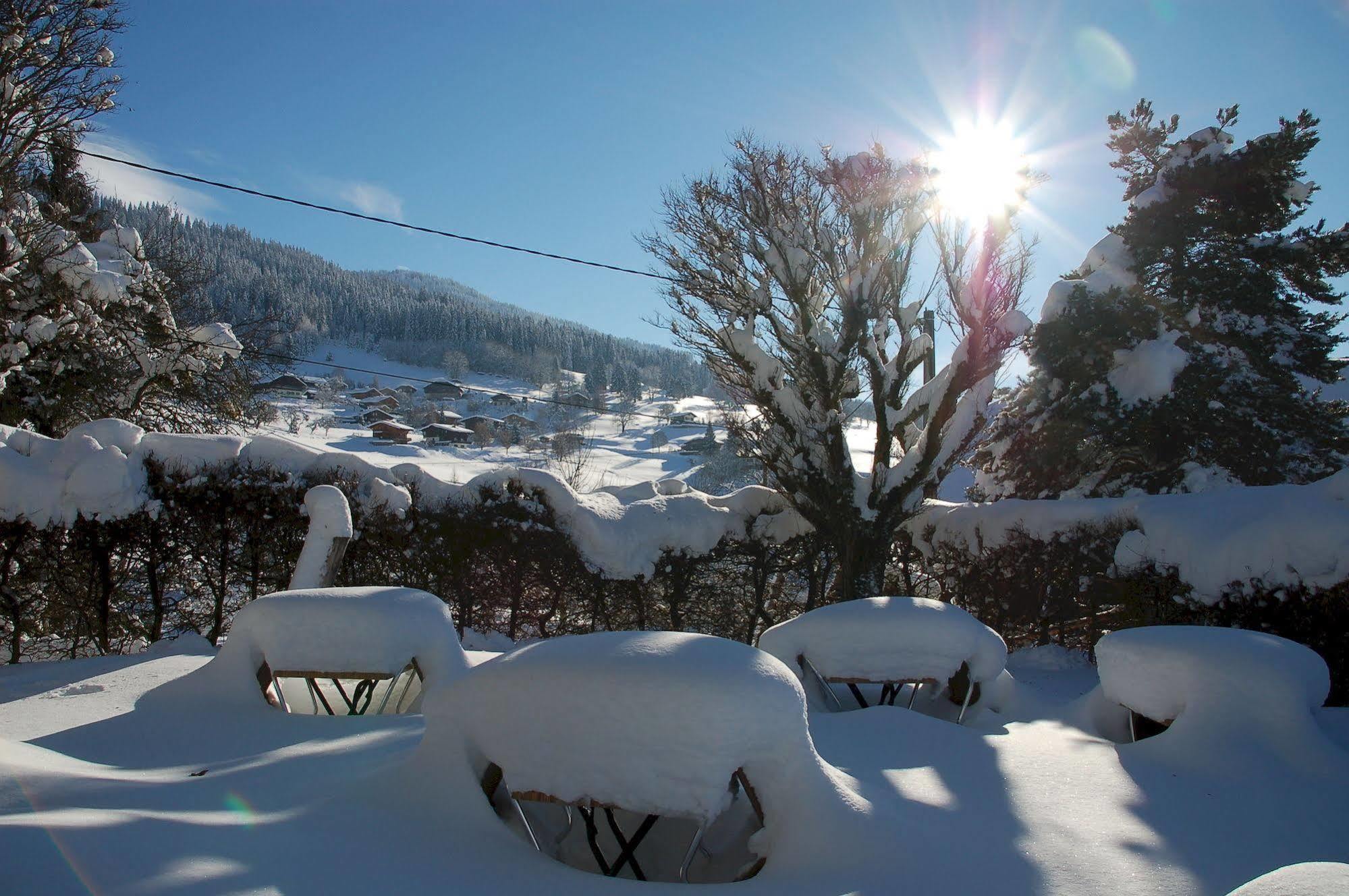 Hotel Le Caprice Des Neiges コンブルー エクステリア 写真